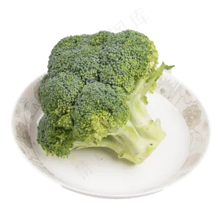 蔬菜花菜 蔬菜花菜