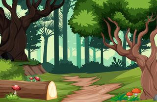 自然森林风景背景