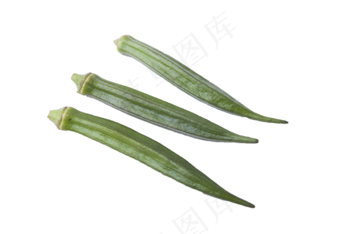 中药丰富保健秋葵