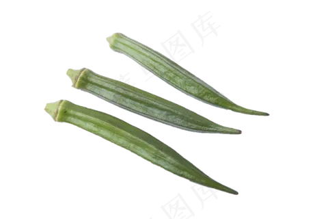 中药丰富保健秋葵