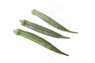 中药丰富保健秋葵