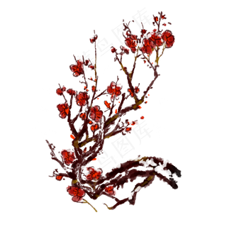冬天腊梅红色梅花免抠