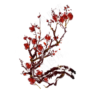 冬天腊梅红色梅花免抠