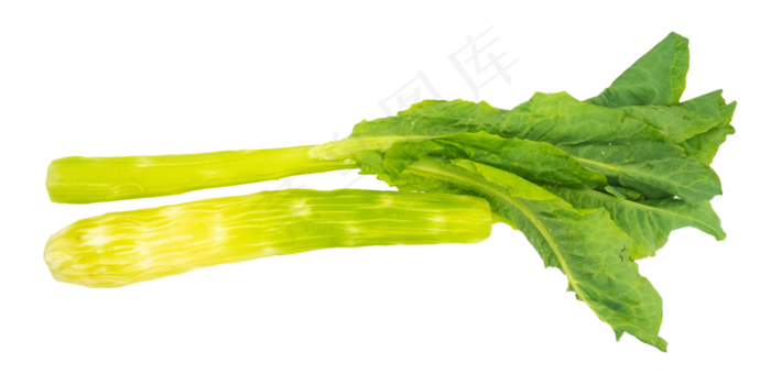 莴笋蔬菜(4000*2000px 300 dpi )