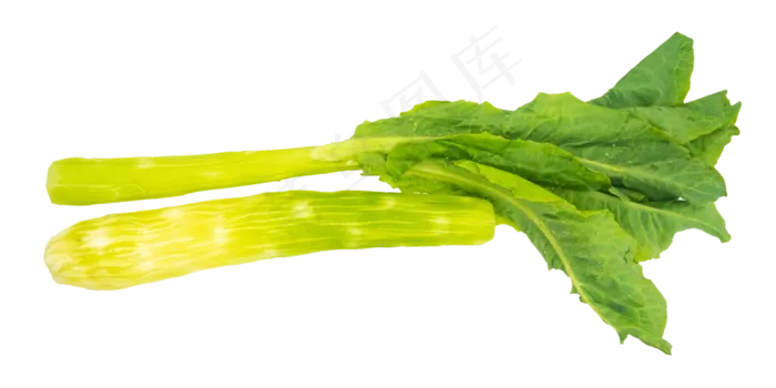 莴笋蔬菜(4000*2000px 300 dpi )