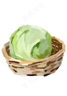 本地包心菜蔬菜 本地包心菜蔬菜