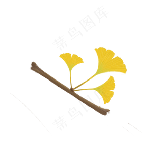 秋季金黄银杏叶手绘