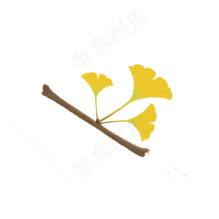 秋季金黄银杏叶手绘