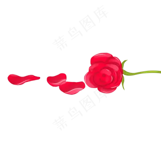 掉落花瓣的玫瑰七夕情人节