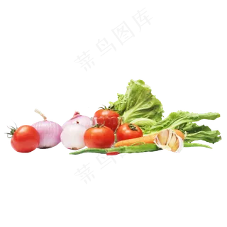 生菜芥菜洋葱胡萝卜辣椒大蒜 生菜芥菜洋葱胡萝卜辣椒大蒜