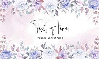 美丽的花朵背景，柔和的紫色花朵