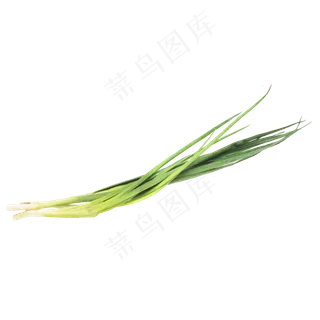 青葱蔬菜