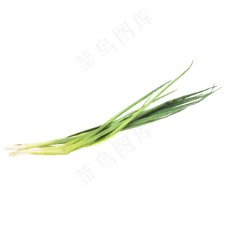 青葱蔬菜