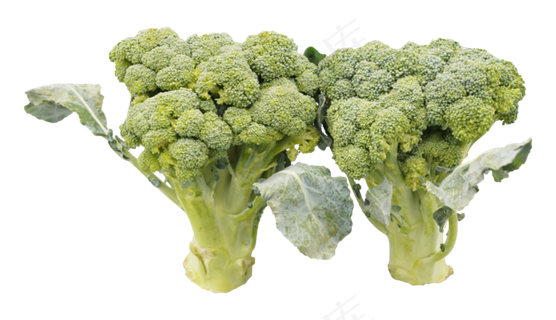 绿色蔬菜西蓝花