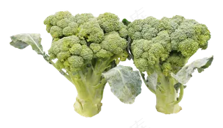 绿色蔬菜西蓝花