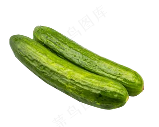 健康蔬菜黄瓜