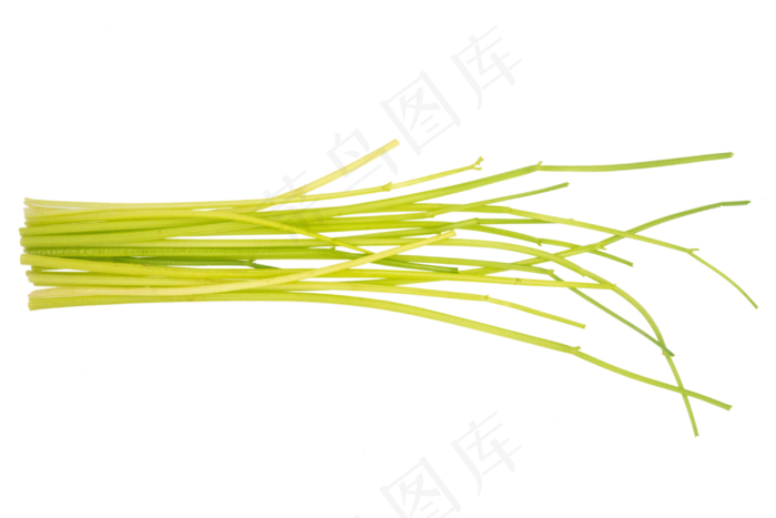 食品芹菜(2000X2000(DPI:300))