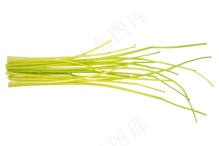 食品芹菜(2000X2000(DPI:300))