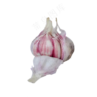 新鲜的大蒜
