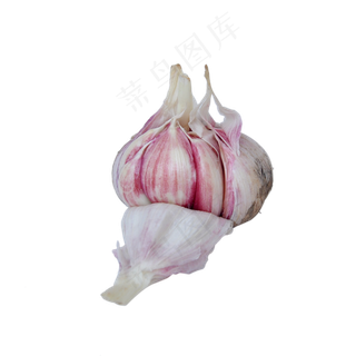 新鲜的大蒜