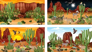 不同的场景与沙漠森林景观与动物和植物