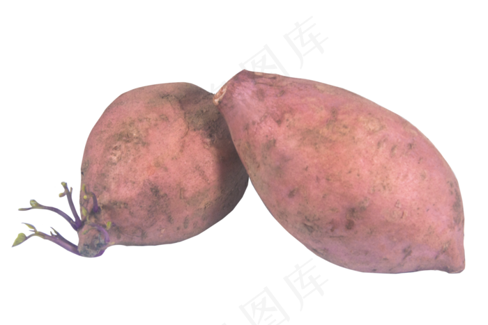 蔬菜山芋红薯