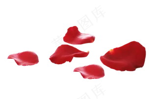 零落的花瓣元素