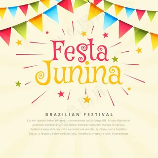 巴西青年节背景