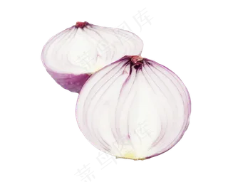 切开的蔬菜洋葱
