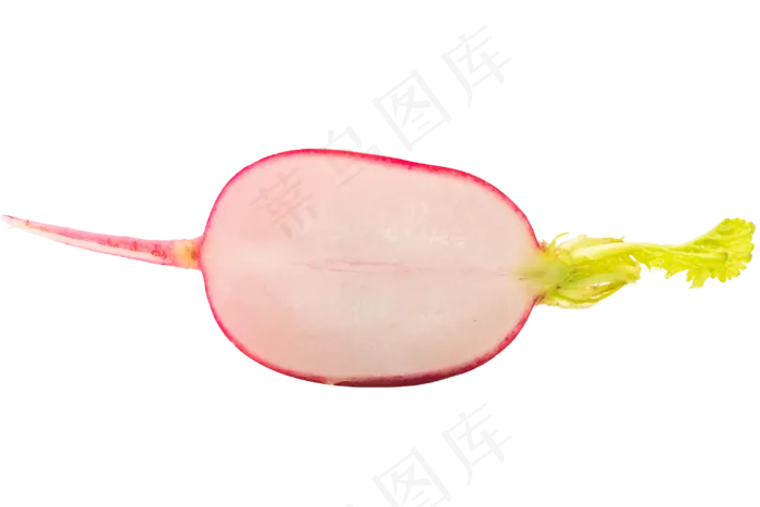 半个新鲜萝卜(3000X3000(DPI:300))