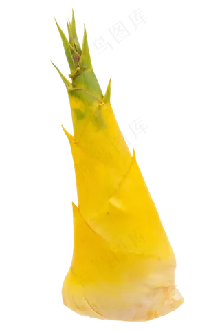 黄色蔬菜竹笋