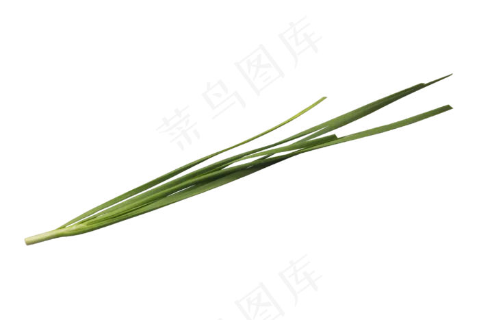 一根绿色韭菜(3000*2000px 300 dpi )