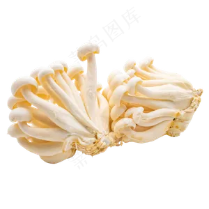 蔬菜菌菇