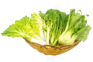 绿色蔬菜青菜