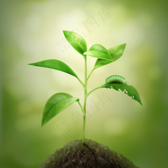 绿色嫩芽在土壤中生长的图解eps,ai矢量模版下载