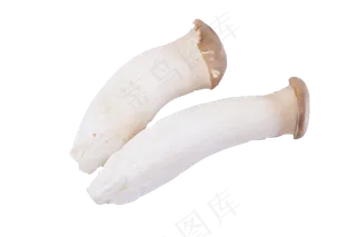 美味清香可口的蘑菇