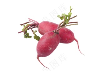 胭脂萝卜美味红萝卜