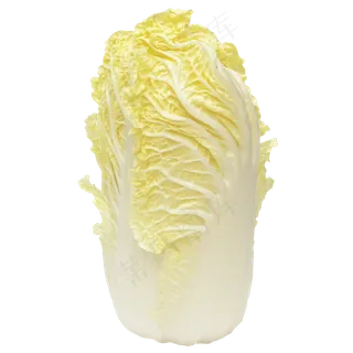 新鲜娃娃菜蔬菜 新鲜娃娃菜蔬菜