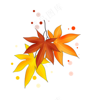 立秋手绘三片枫叶