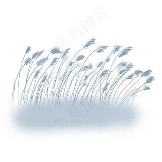卡通芦苇PNG下载