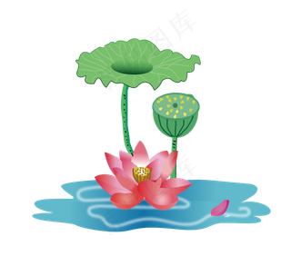 手绘莲花莲蓬