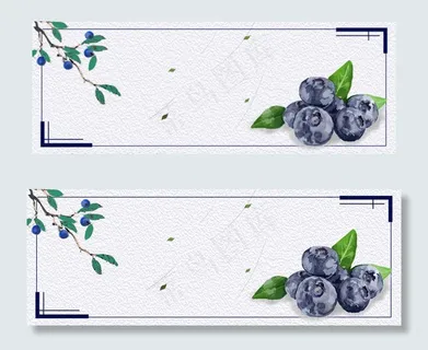 蓝色小清新蓝莓水果美食电商banner