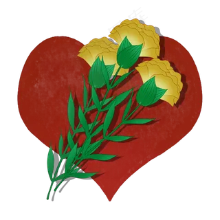 黄色康乃馨花语感恩真情母亲节素,免抠元素