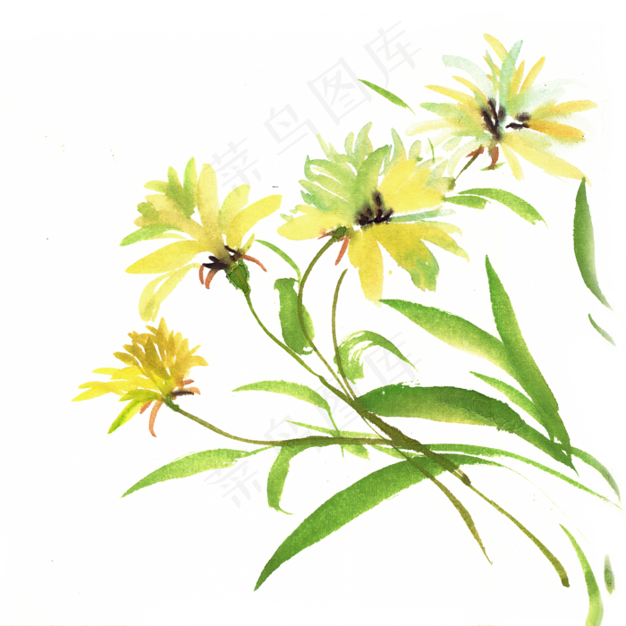 黄绿色的花(4724X4724(DPI:300))psd模版下载