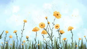 开放在蓝色天空下的黄色花朵