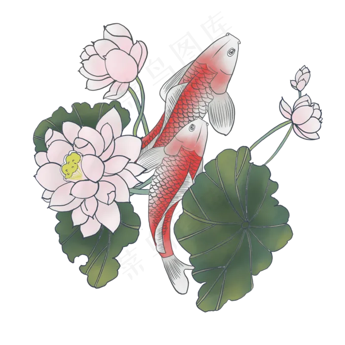 中国风水墨工笔红鲤鱼莲花PNG,免抠元素(3000X3000(DPI:300))psd模版下载