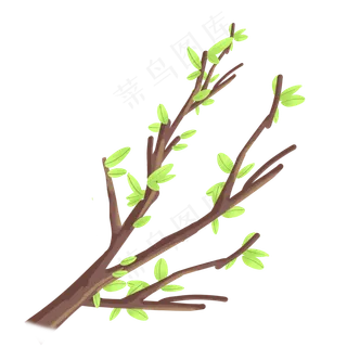 长满新绿叶的树枝