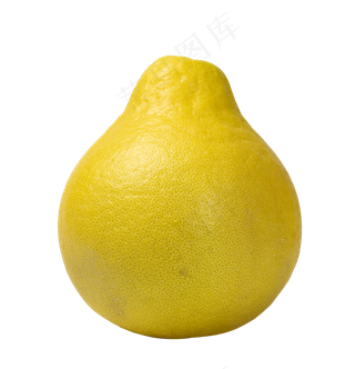 新鲜水果柚子