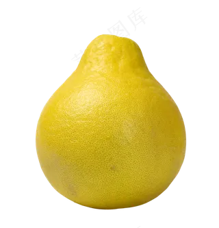 新鲜水果柚子