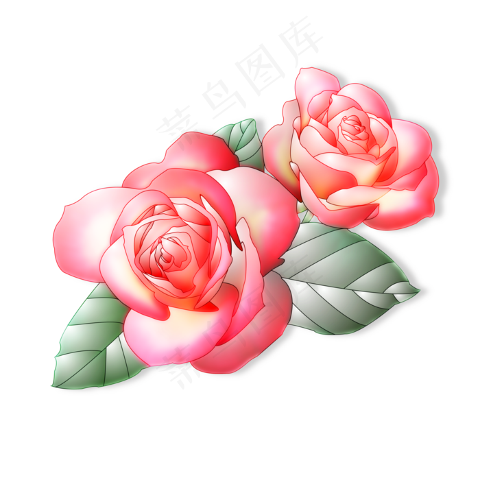 红色的玫瑰花组合